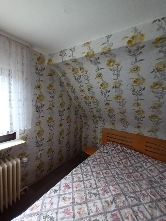 Family House Apartment เอเบอร์บาค ภายนอก รูปภาพ
